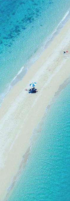 Hayman Island...Great Barrier Reef, Australia