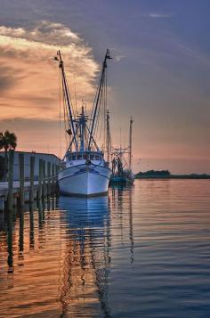 Shrimp Boats