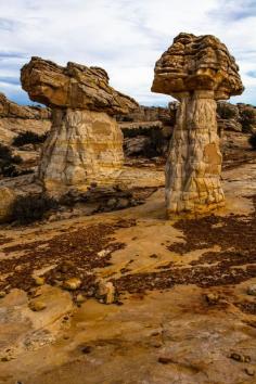 The Mushrooms - Grand Staircase-Escalante Monument - Escalante - Utah - USA