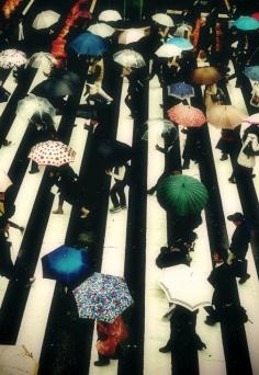 Umbrellas in Tokyo