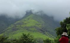 There is a reason that Wayanad is an ultimate destination. The district offers too great tourism though it’s still unheard to many. Wayanad is a new district. Before it use to come under the Kanoor...