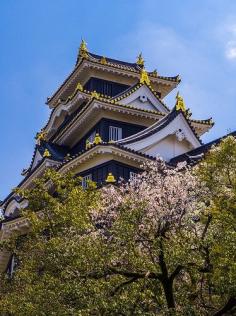 Okayama Castle #japan #okayama