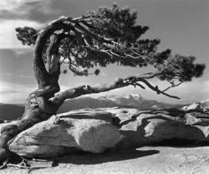 Ansel Adams