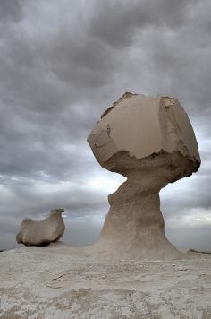 The Chicken and the Tree, White Desert, Egypt.