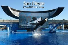 San Diego, California Family Vacation www.vacationrenta...