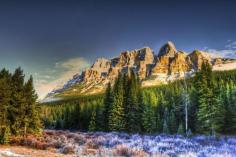 Bow Valley Parkway, Alberta.