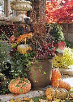 fall container gardens #fallcontainergarden