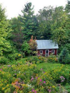 Amy's Creative Pursuits:  My Fall Garden