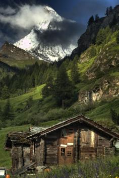 House in woods