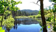 Spooner Lake is near Spooner summit, on the Nevada side of the Lake Tahoe area.