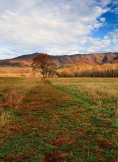 Cades Cove