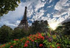 Unique View of the Eiffel Tower