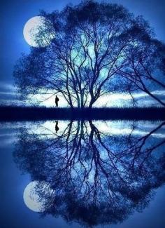 Moon and Tree