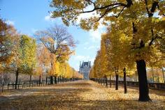 Le Blog: Autumn In France