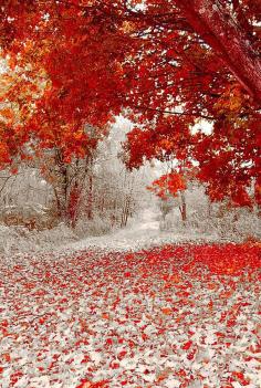 First Snowfall In Duluth, Minnesota, United States