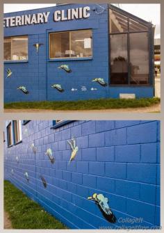 : Orange Bellied Parrot mural. Torquay Veterinary Clinic, 29 Surfcoast Highway, Torquay (2013). Victoria, Australia. Artist: Mike McLean