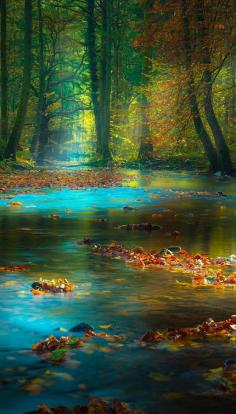 Magic light in the Spessart Mountains of Bavaria, Germany