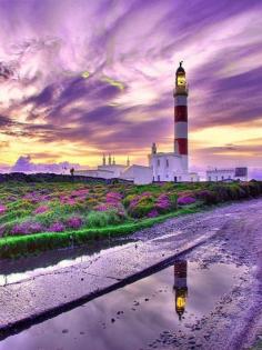 Lighthouse