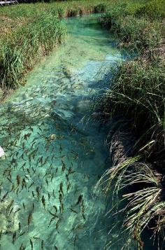 Plitvice Lakes National Park / Croatia