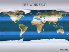 [Map] “The Wine Belt” Apr-2014 by Winefolly.com