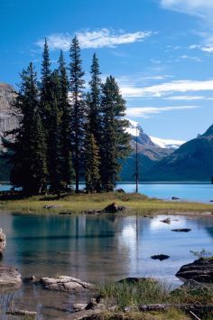 Jasper National Park in Canada is wild in every sense of the word.