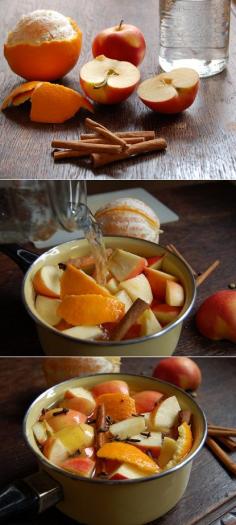 DIY - Perfect Fall Potpourri - #fall #potpourri #fallpotpourri