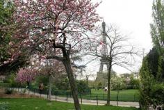 The Daily Audrey: Paris in Spring