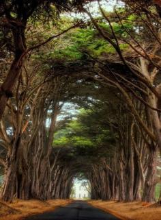 Point Reyes National Seashore, California