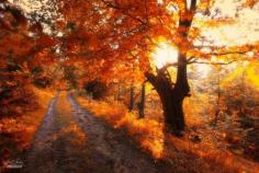 -on the road with warm thoughts- by Janek-Sedlar