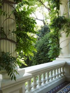 Wisteria on columns