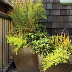 Fall Container Gardening