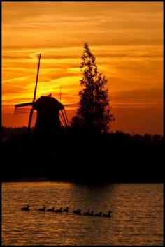 Mill at sunset, Kinderdijk, Netherlands