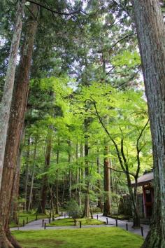 Ohara and Sanzen-in. October 2013.