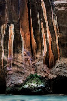 Rock detail, Narrows, Zion National Park, Utah, United States.