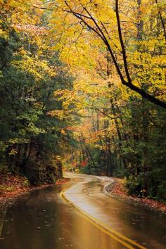 travelingcolors: “Signal Mountain Fall | Tennessee (by Virginia Bailey Photography) ”