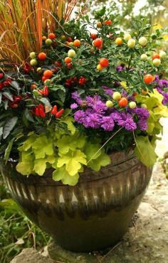 Fall Container Gardening