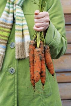 Fall Garden Prep Checklist - #fallgarden