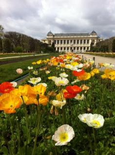 Paris | Flâneur Gardening