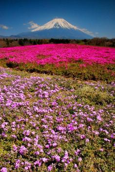 Mount Fuji, Japan