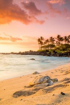 Kukio Beach, Hawaii