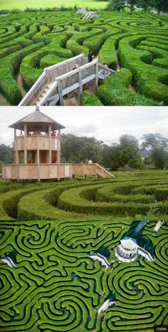 The Longleat Maze is the longest hedge maze in the world! Get lost! Horningsham, England