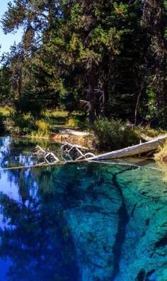 "The water seriously is that blue". This was in the description of the original photo, posted to instagram by Brian Stowell (@Brian Stowell) when referring to the unbelievably blue waters of Little Crater Lake in #omht.