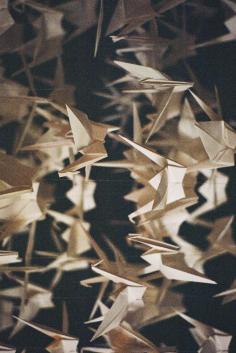 Origami cranes