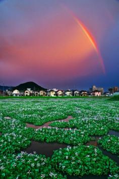 Nara, Japan