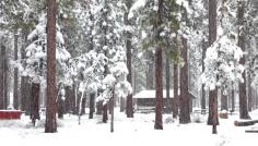 I arrived at Lake Tahoe the 1st of May, and a few days later, 5" of snow! It melted off by noon, but it snowed one more time during May!