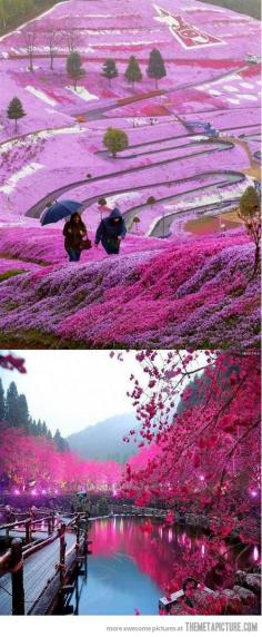 Beautiful Fields in Hillside Hokkaido, Japan