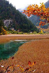 Reed Lake, Jiuzhaigou Valley, China