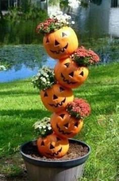 Pumpkin heads - #pumpkin #planter ideas