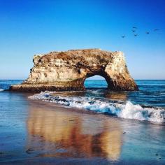 Beach in Santa Cruz, California. Photo courtesy of raven reviews on Instagram.