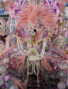 Ana Maria Tavarez reacts after being crowned the Tenerife Carnival Queen 2009 during a carnival gala in Santa Cruz de Tenerife on the Spanish Canary Island of Tenerife, late February 18, 2009. (REUTERS/Santiago Ferrero) #